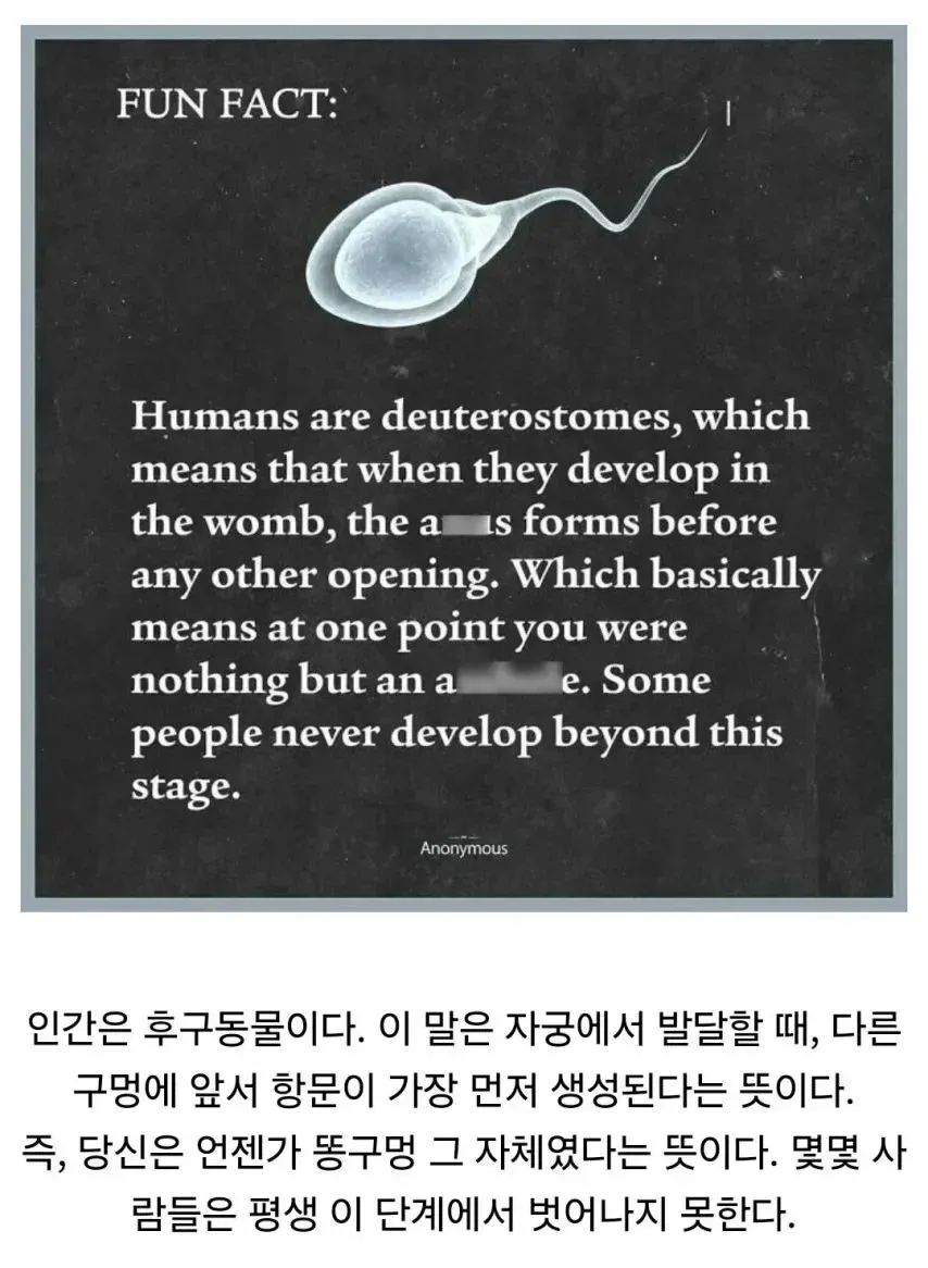 후구동물 발생 과정을 설명하는 유머 텍스트 이미지
