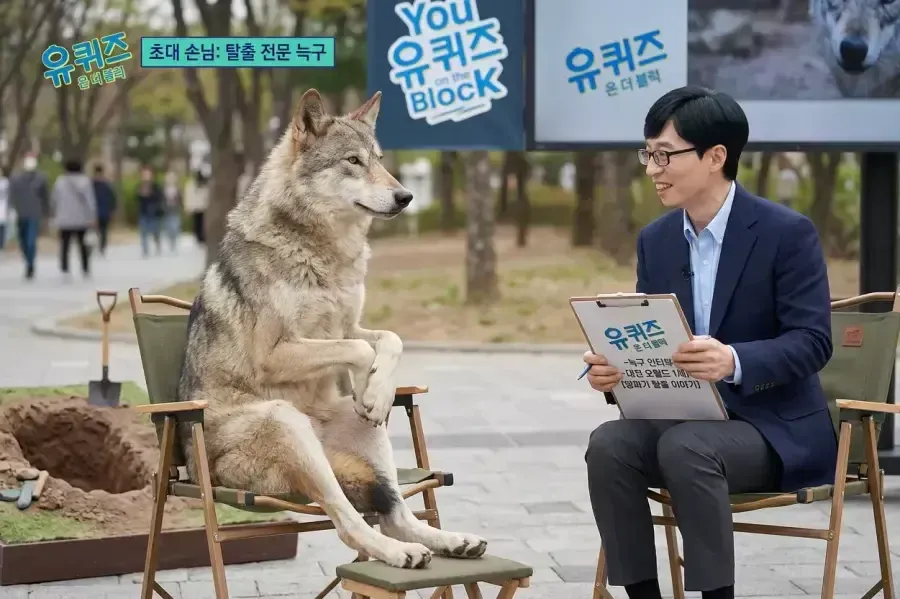 대전 오월드 탈출 전문 늑구 인터뷰 방송 자막 화면