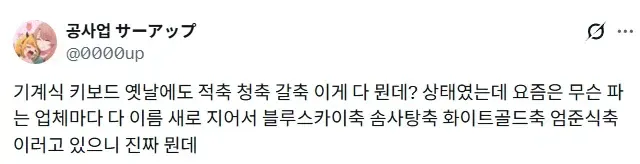 기계식 키보드 축 이름이 너무 많아 헷갈린다는 유머 게시글 스크린샷
