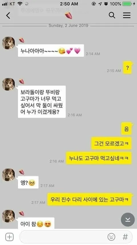 보라돌이와 뚜비의 고구마 다툼에 대한 남매 카카오톡 대화