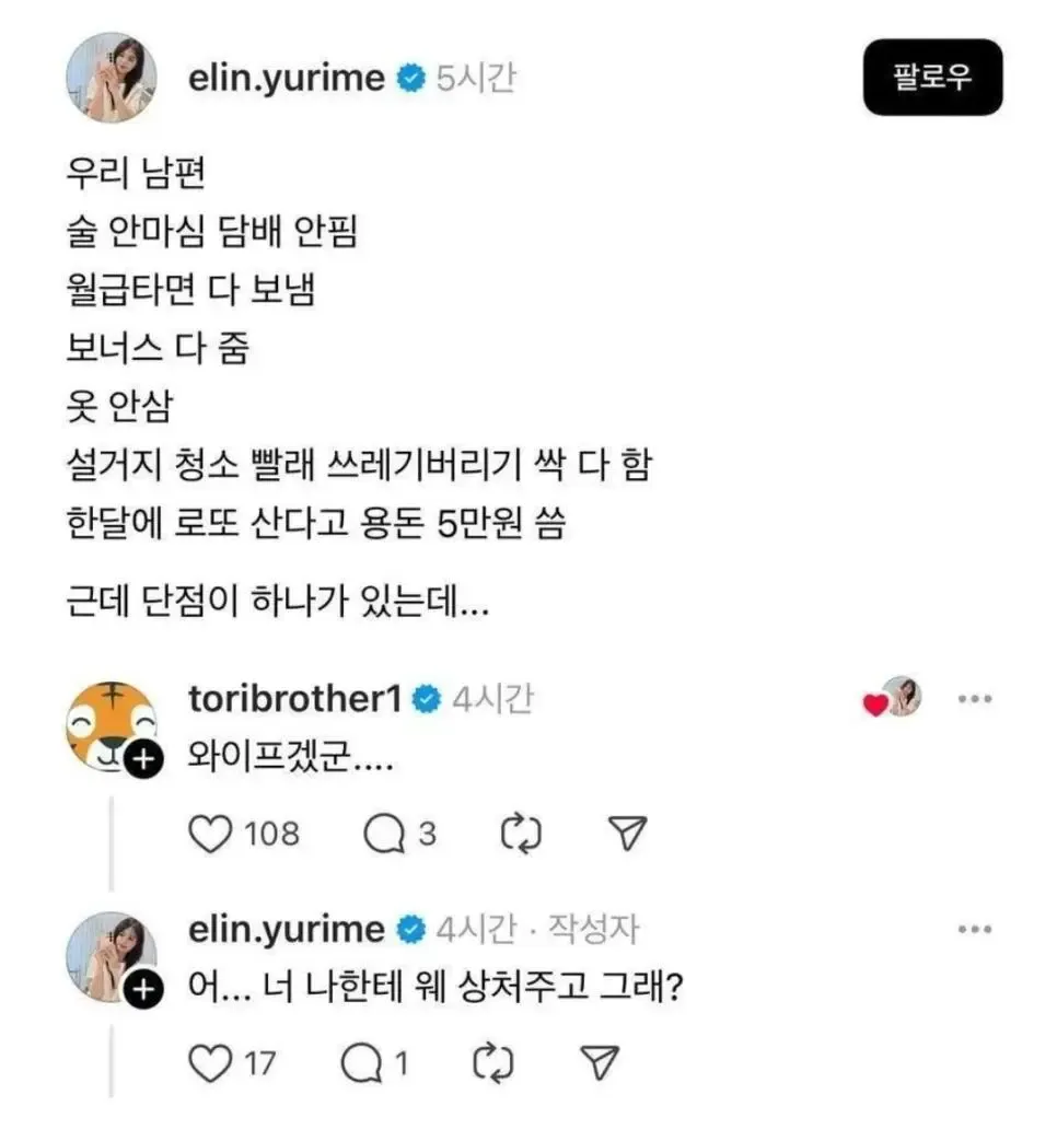 완벽한 남편의 유일한 단점이 아내라는 자학 유머 짤