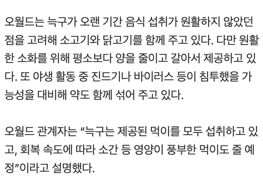 오월드에서 늑구에게 소고기와 닭고기를 갈아 약과 함께 제공하는 먹이 급여 안내문