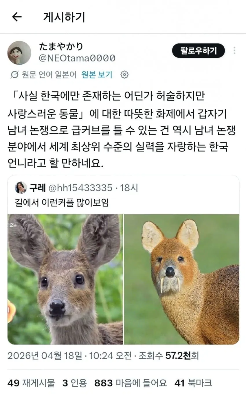 한국 트위터에서 동물 화제가 남녀 논쟁으로 전환된 상황을 비꼬는 텍스트 게시물 캡처