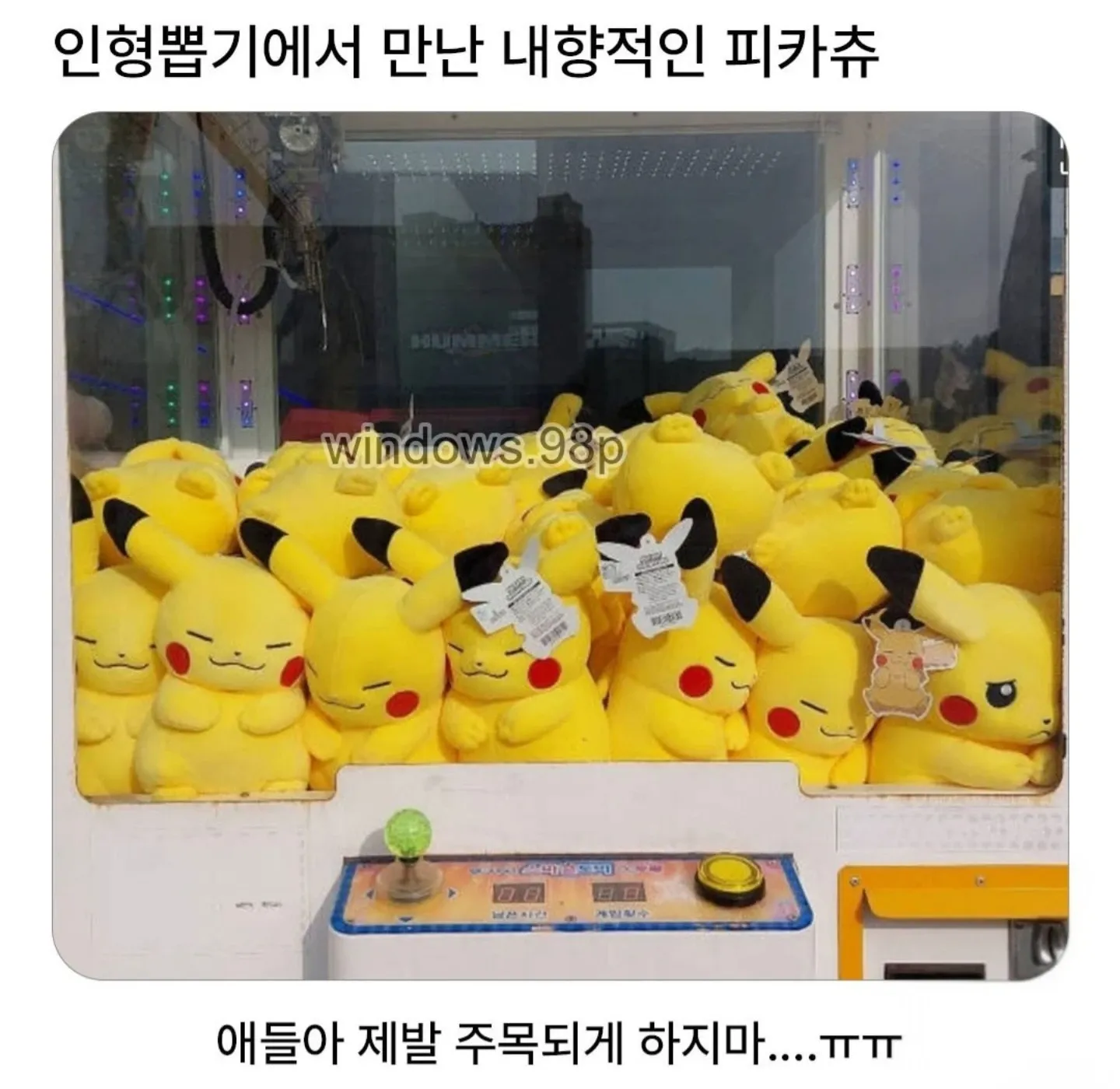 인형뽑기 속 피카츄 인형이 부끄러워하며 주목받기 싫어하는 모습의 밈 이미지