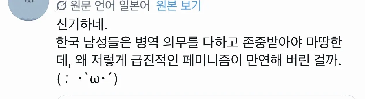 한국 페미니즘에 대한 일본인 댓글 캡처 화면