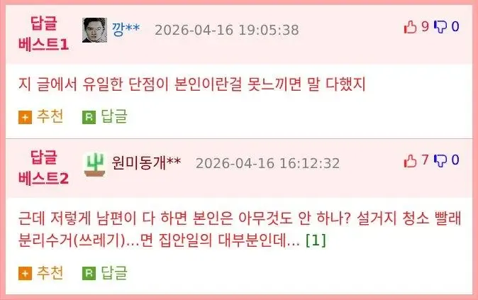 완벽한 남편의 유일한 단점이 본인임을 지적하는 댓글들