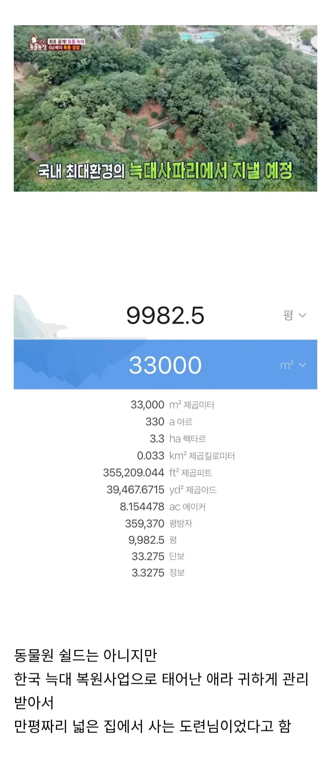 한국 늑대 복원사업으로 태어난 늑대가 사는 33,000㎡ 규모 늑대사파리 면적 환산표