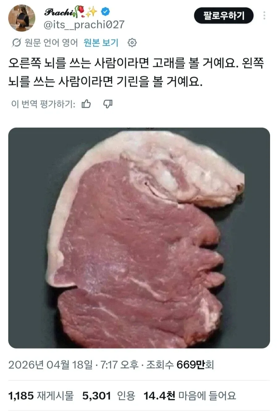 좌뇌형은 기린, 우뇌형은 고래로 보이는 착시 이미지