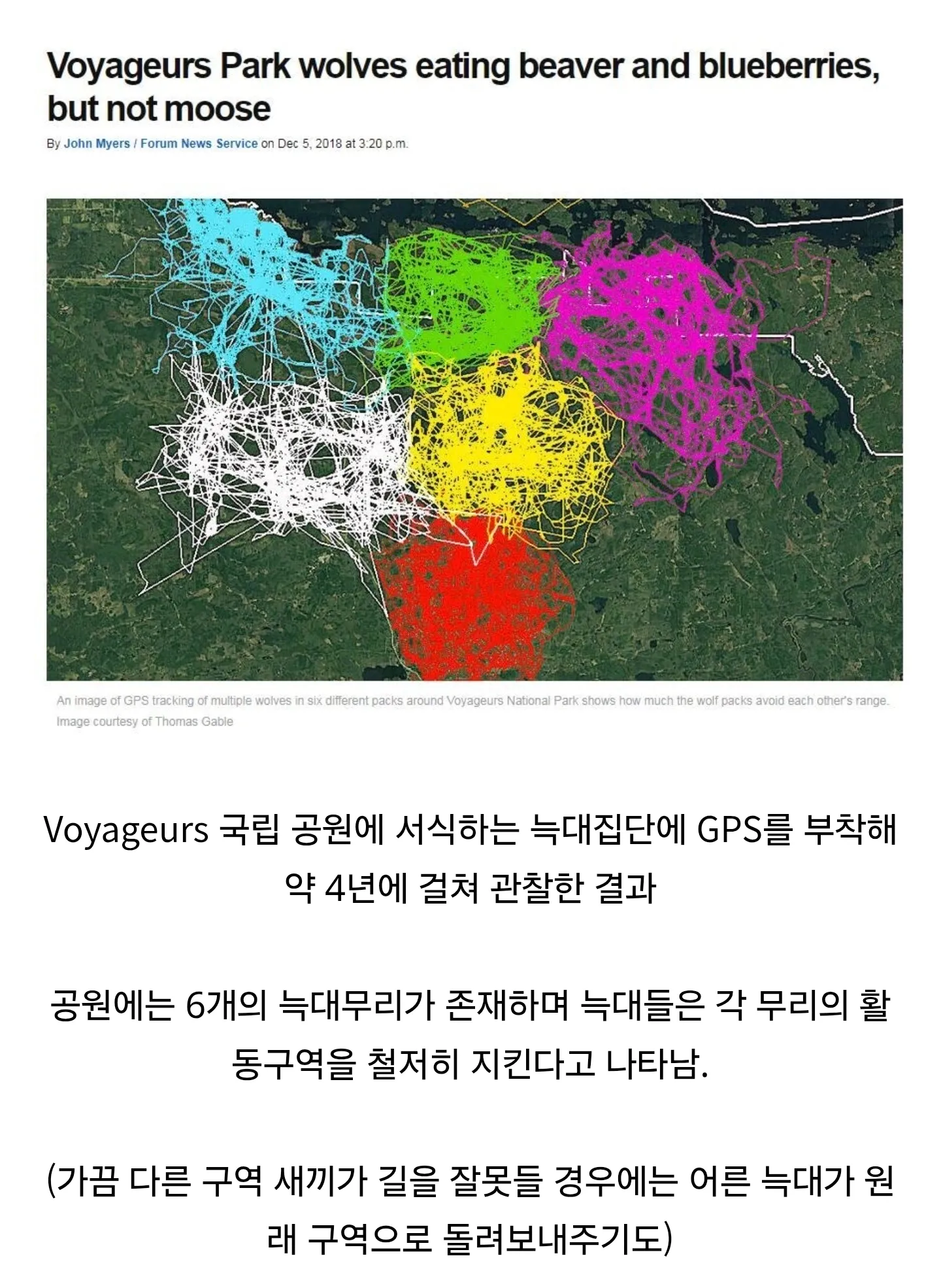 GPS로 추적한 Voyageurs 공원 늑대 6무리의 활동구역 지도
