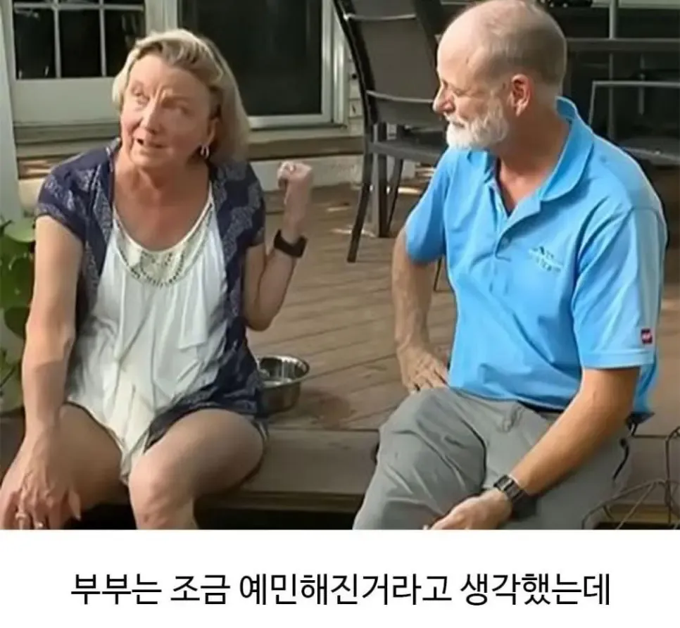 미용실 미용 후 짧게 깎여 표정이 예민해 보이는 골든리트리버