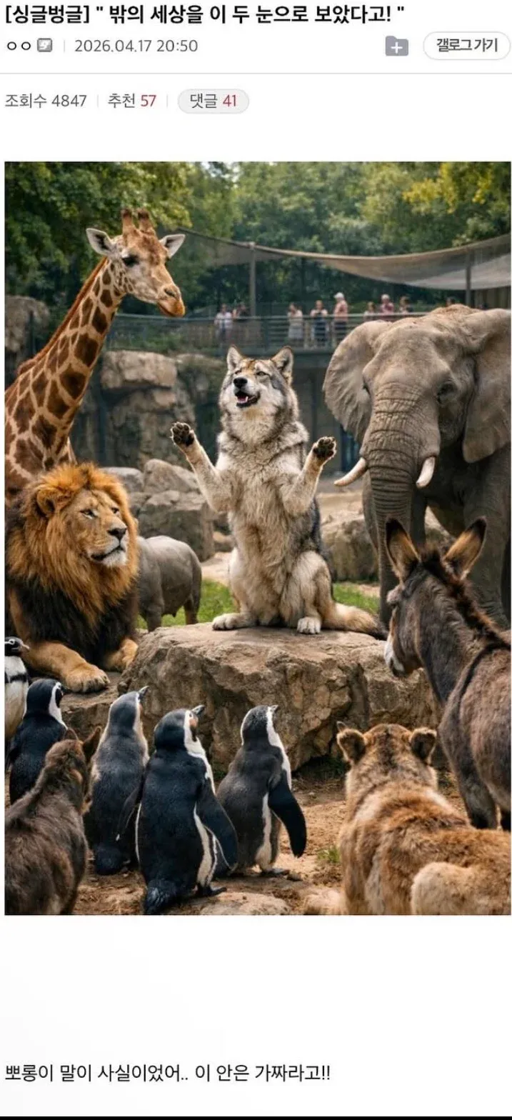 우리 밖을 탈출해 바깥세상을 본 대전오월드 동물