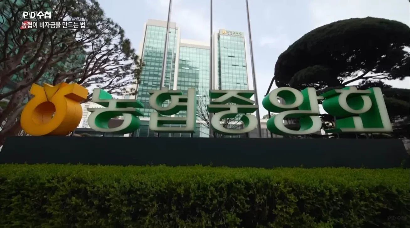 농협중앙회 비자금 조성 의혹을 다룬 방송 프로그램 제목 화면