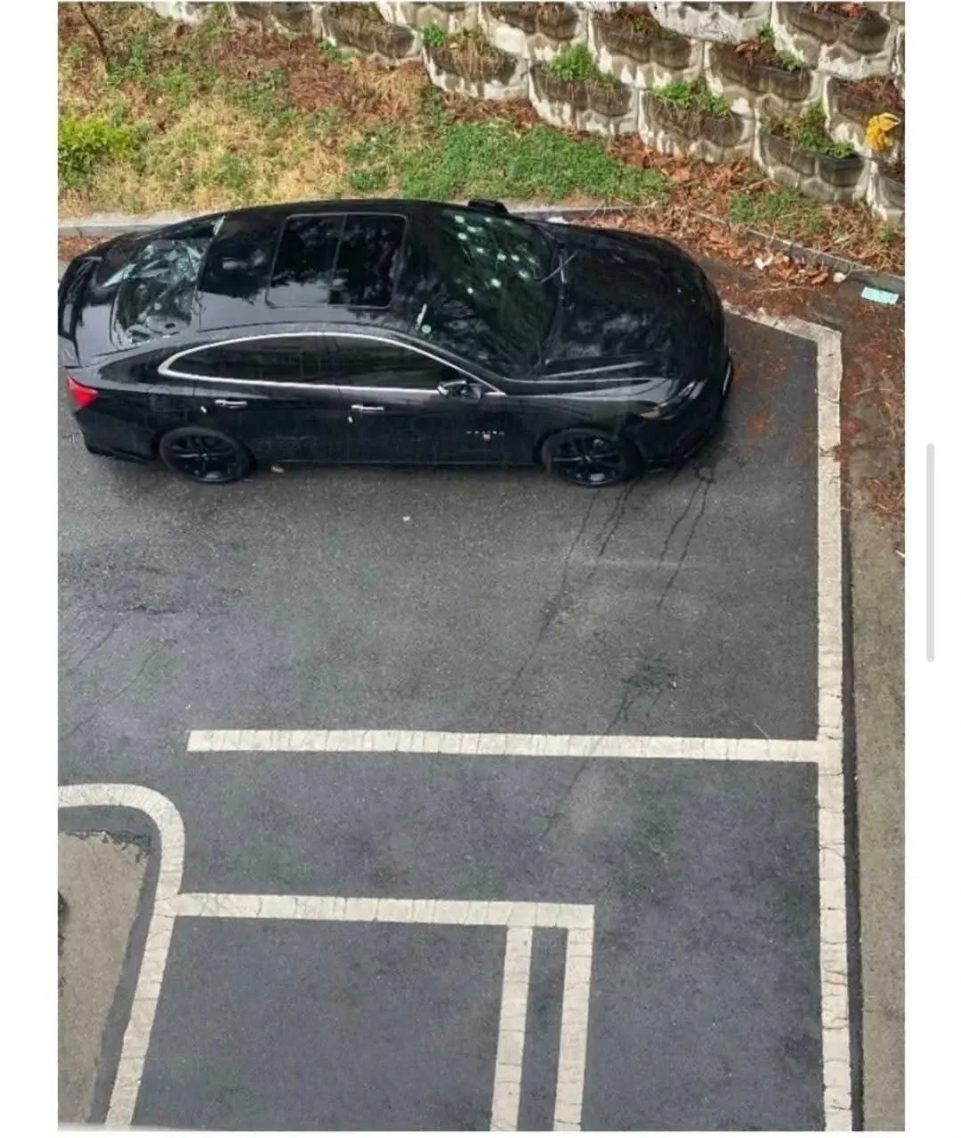 주차테러 당한 차량