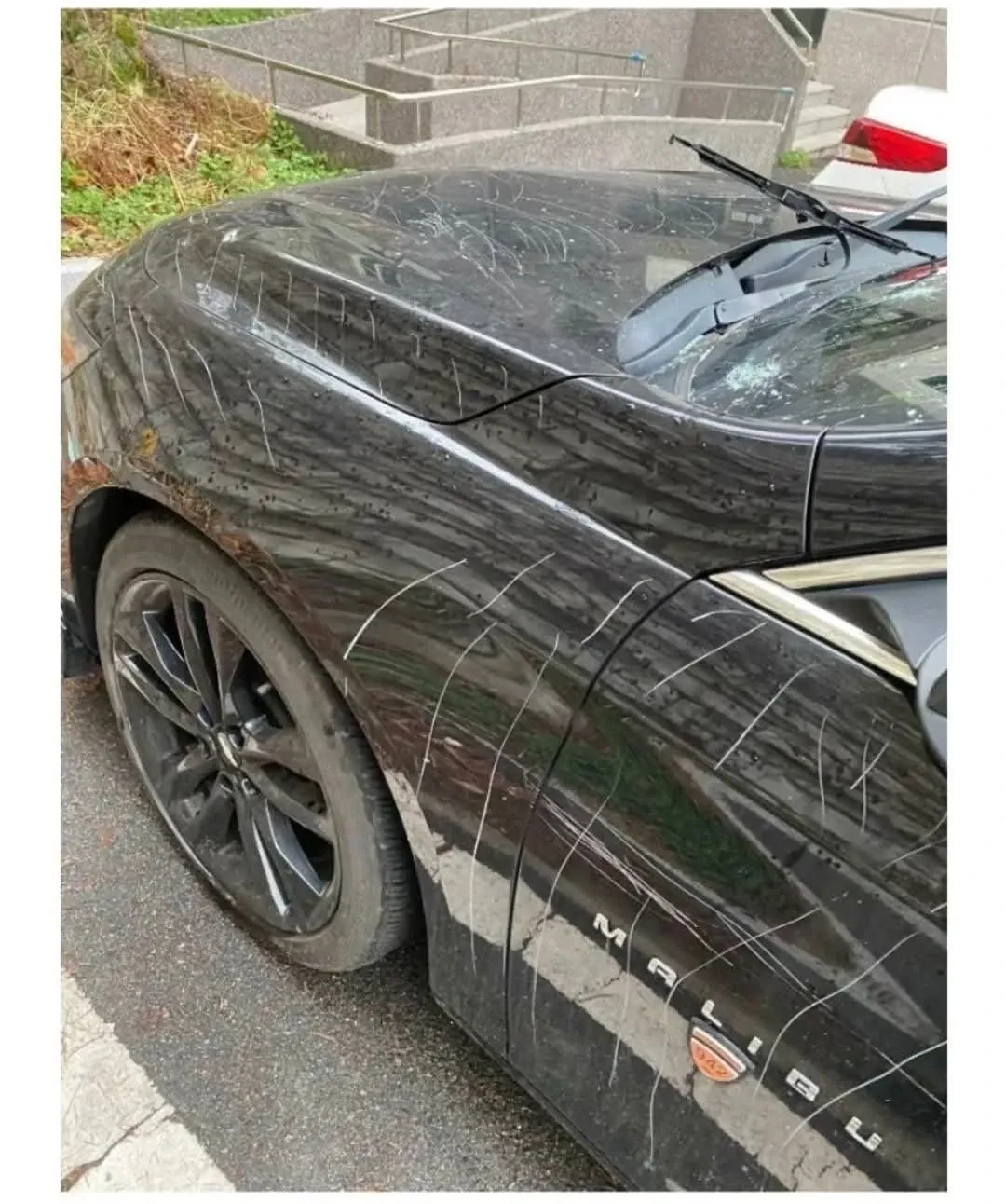 주차 테러로 손상된 차량 화면