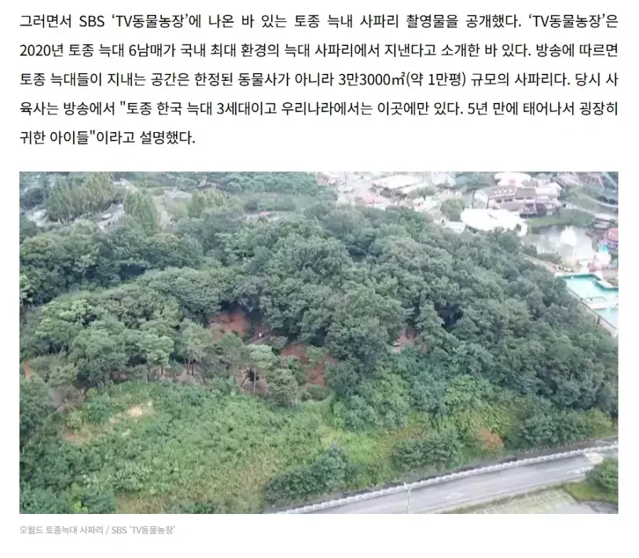국내 유일 토종 늑대 3세대가 거주하는 3만평 사파리