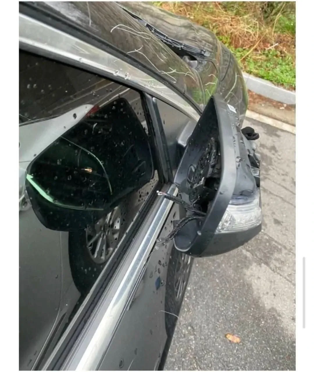 주차 분쟁 관련 글귀나 마크가 표시된 이미지