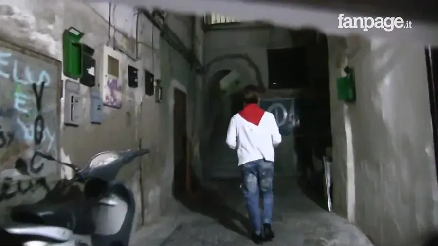 나폴리에서의 파인애플 피자 실험 장면