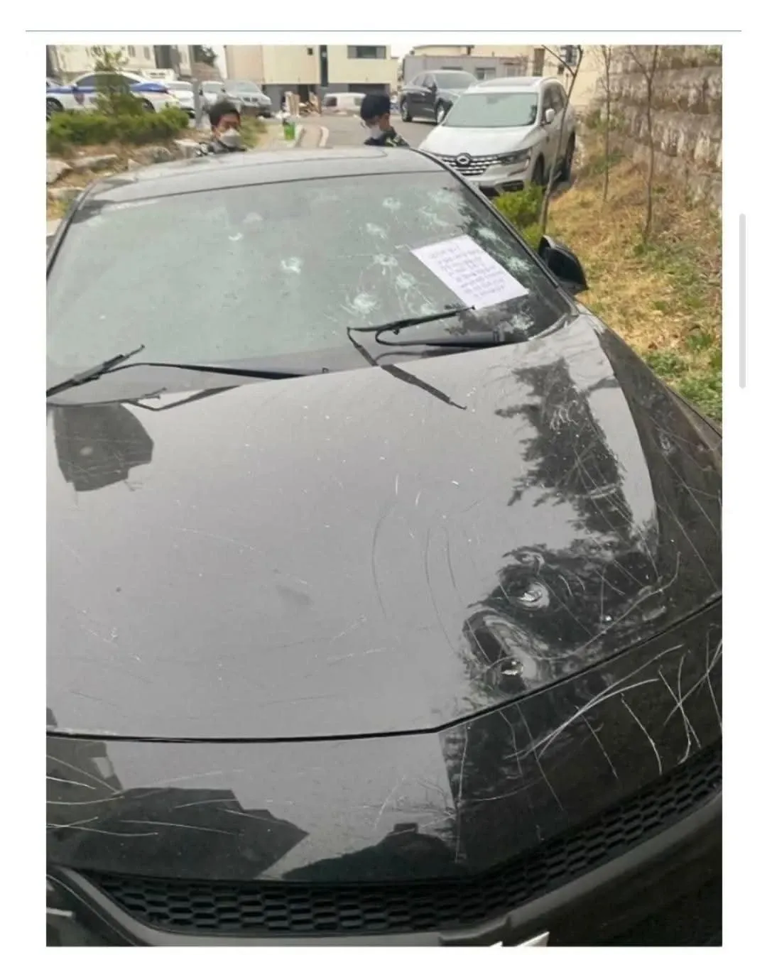 주차 테러 관련 게시물 스크린샷