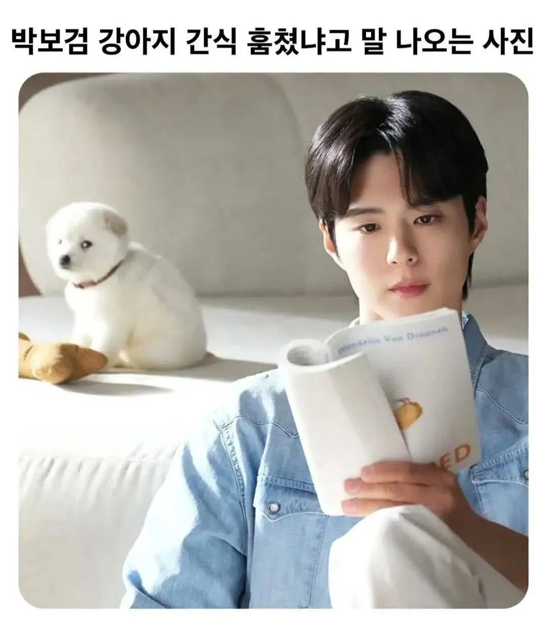 박보검이 강아지 간식을 들고 있는 수상 사진