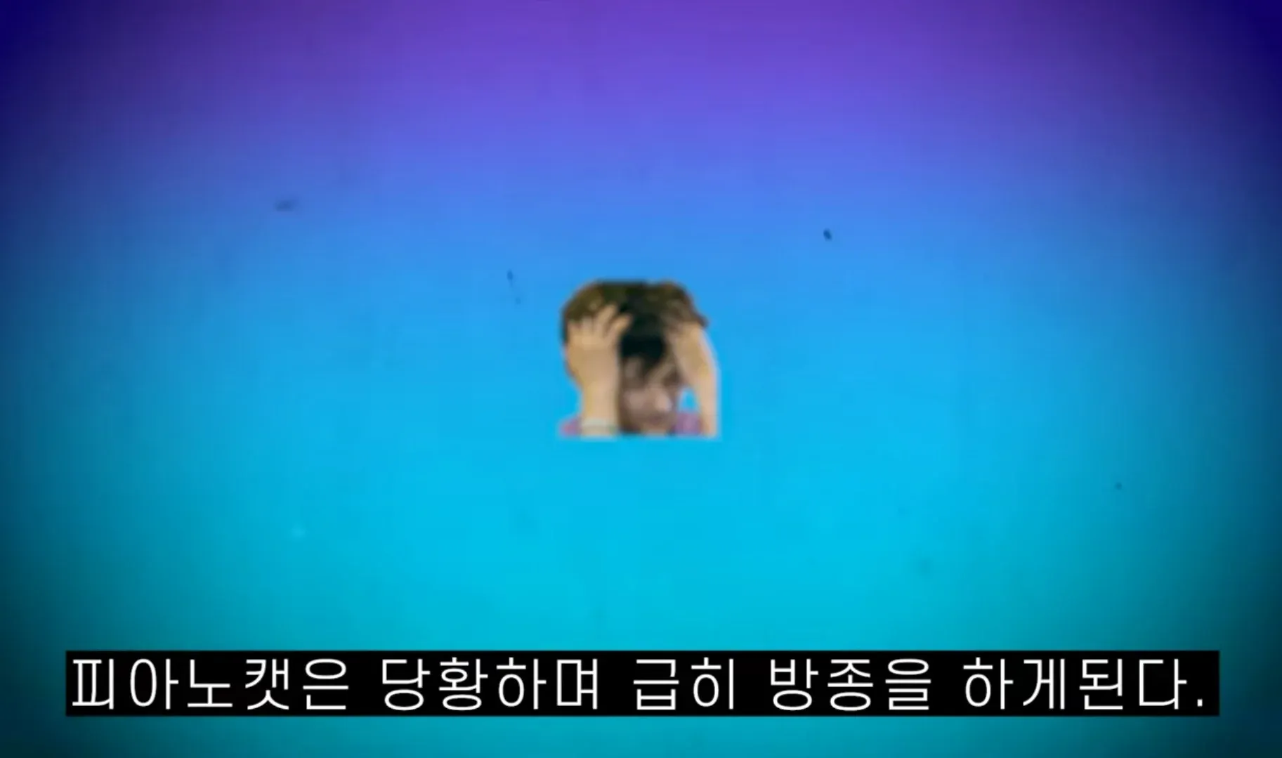 야한 사진을 보고 당황한 스트리머