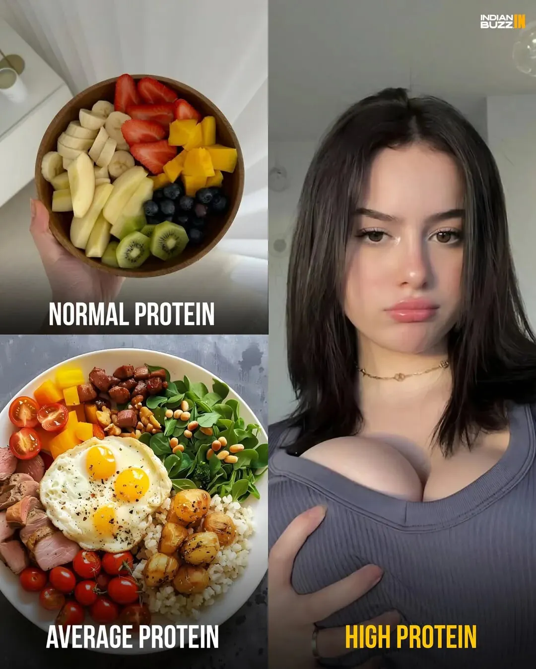 정상, 평균, 높은 프로틴 수준별 취향 비교