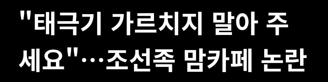 "태극기 가르치지 말아 주세요"…조선족 맘카페 논란
