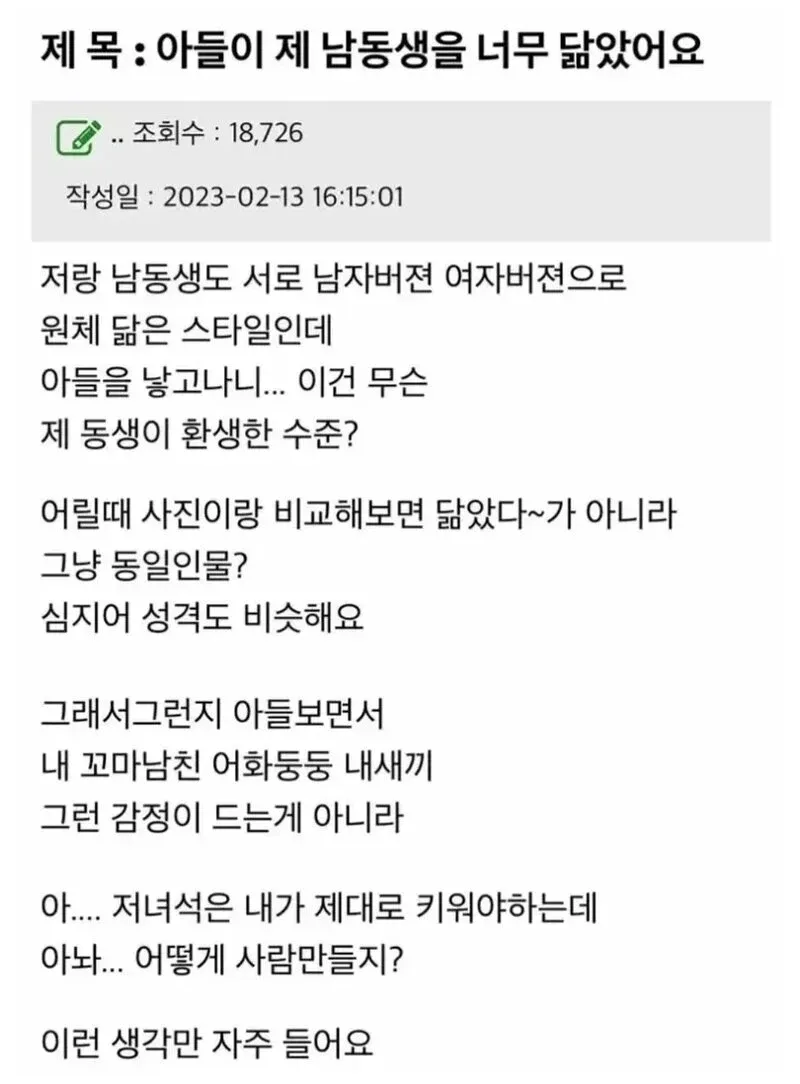 아들이 제 남동생을 너무 닮았다는 온라인 커뮤니티 게시글