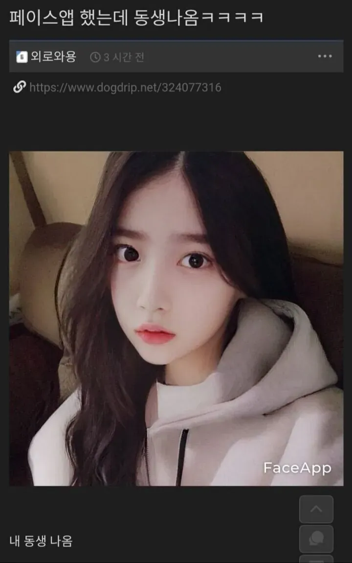 페이스앱으로 여성화한 동생 사진