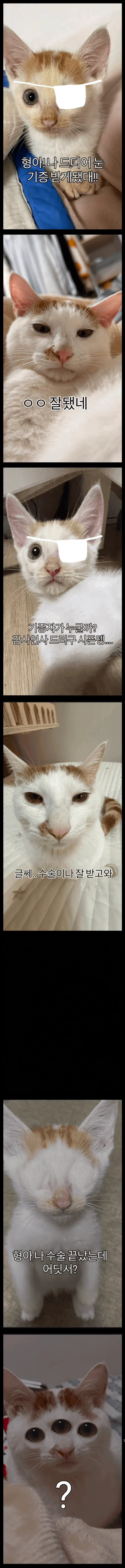 눈 기증 소식에 기뻐하는 모습