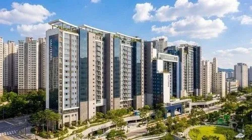 13평 강남 아파트 6명 대가족, 만점통장 당첨