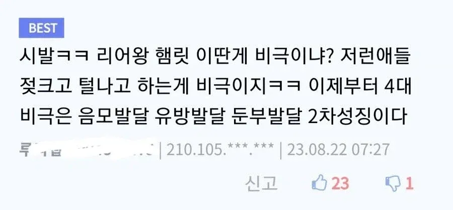 ```
"4대비극"이라는 온라인 밈을 설명하는 커뮤니티 댓글
```