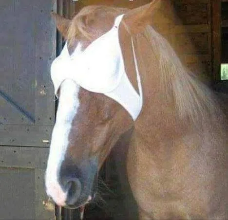 싱글벙글 브래지어 착용 및 활용법 설명