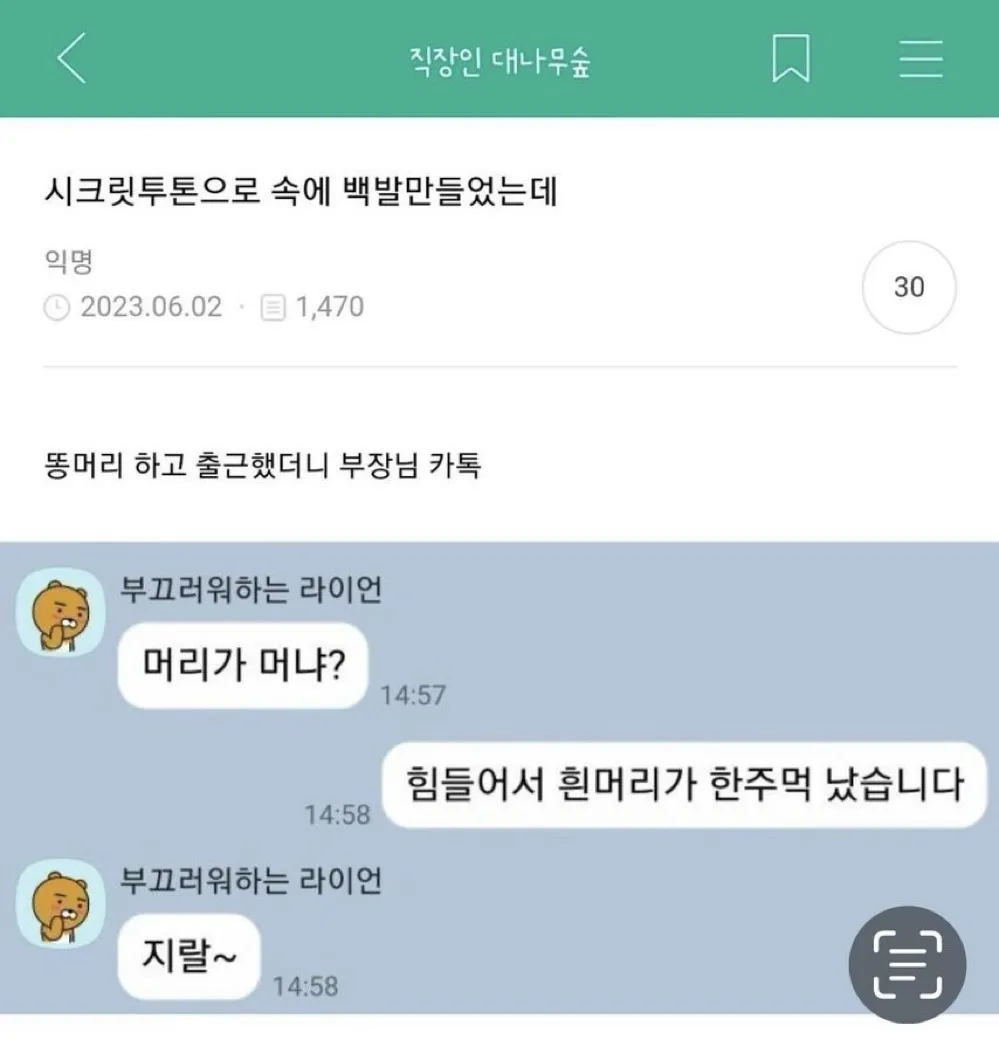 스트레스로 흰머리가 한주먹 난 경험담