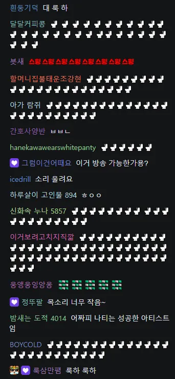 룩삼 하이어 초대석 실시간 채팅 화면