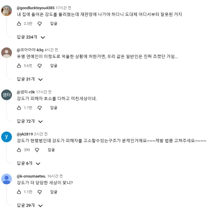 집 침입 강도를 물리친 피해자가 재판장에 나가야 하는 불공정한 상황을 다루는 소셜 미디어 댓글