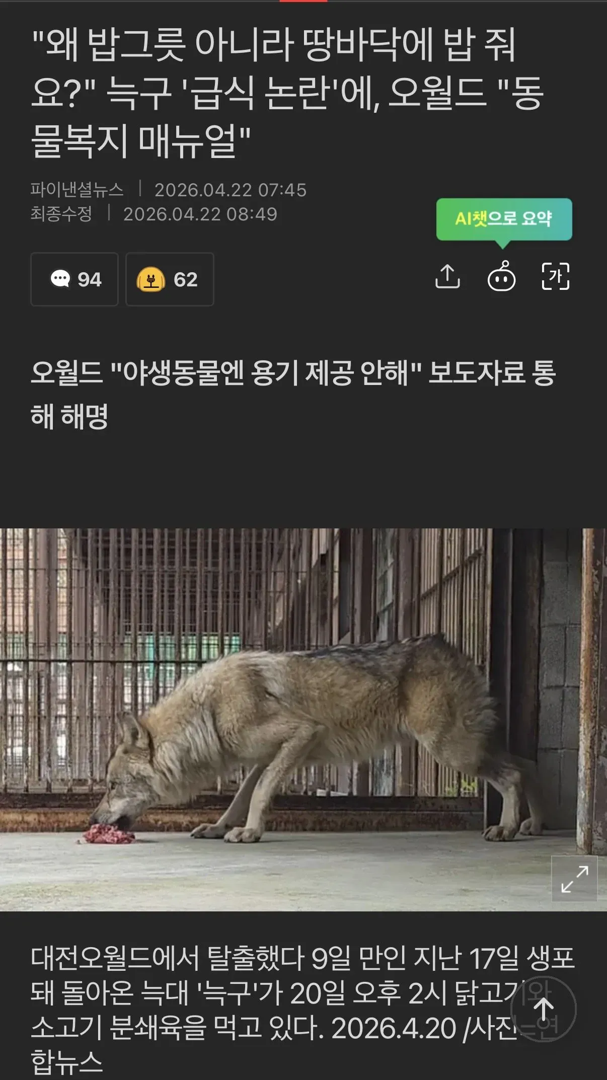 O월드 탈출 동물이 땅바닥의 소고기를 먹고 있는 장면. 동물 급식 논란 뉴스 기사