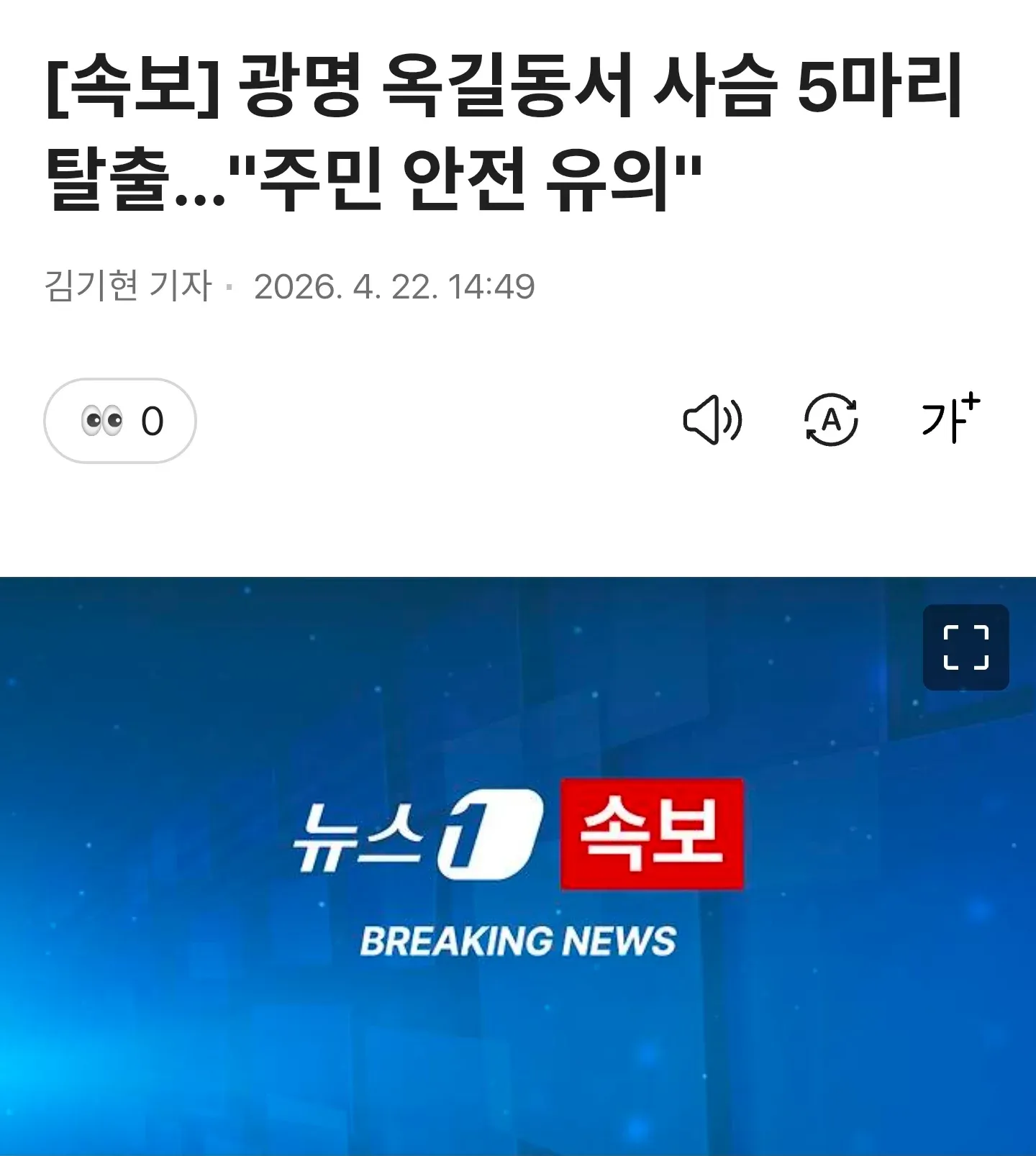 광명 옥길동 사슴 5마리 탈출 속보 뉴스 화면