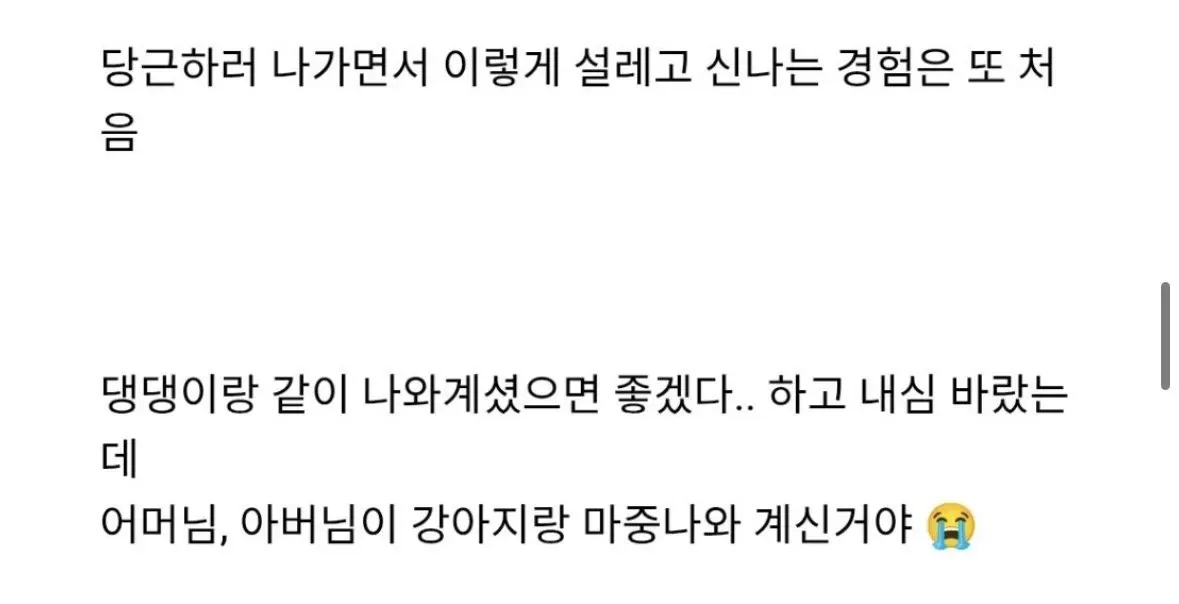 당근마켓 거래 후 부모님과 강아지의 따뜻한 마중