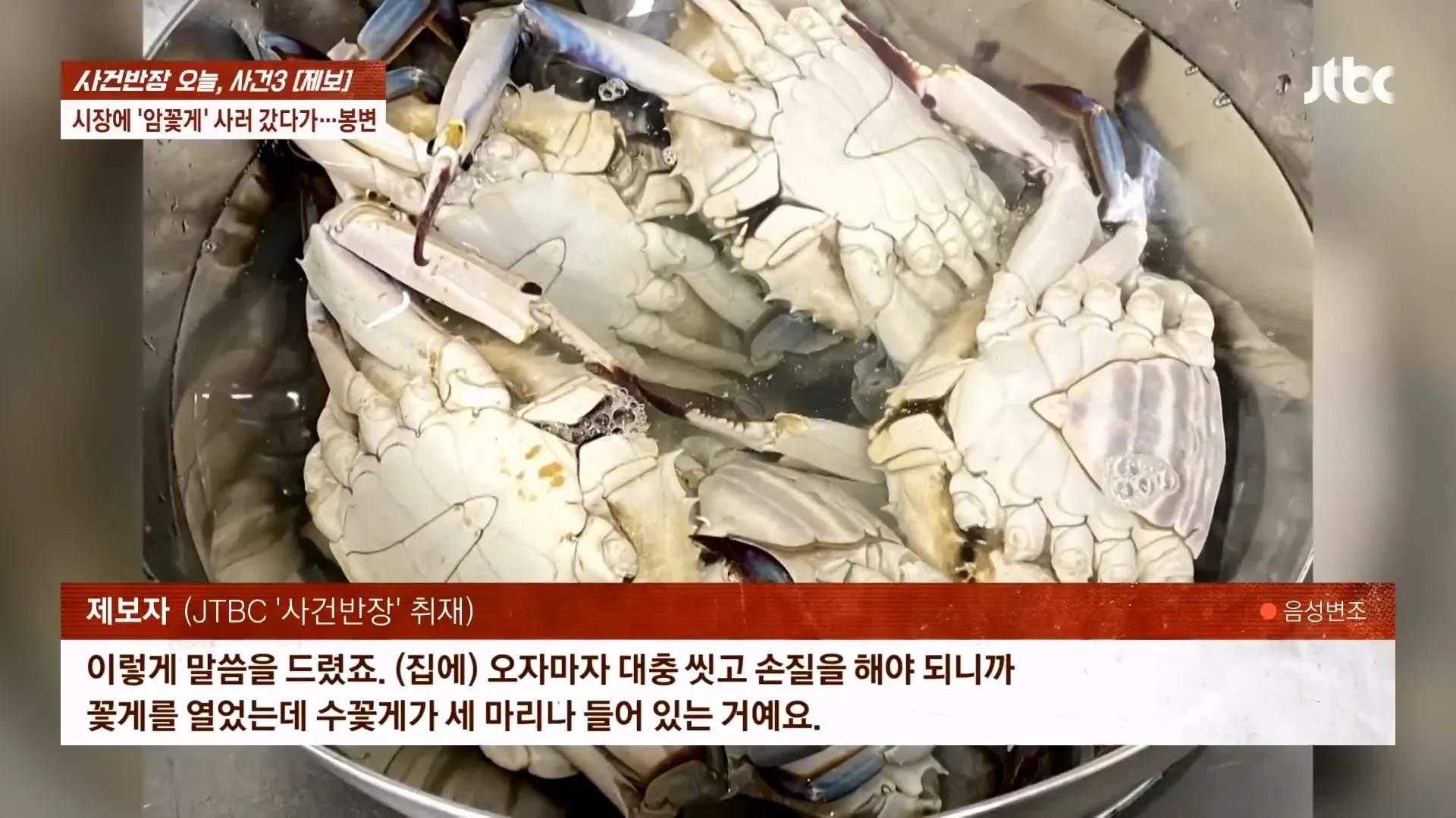 자갈치 시장 꽃게 관련 제보자 인터뷰 음성변조 화면