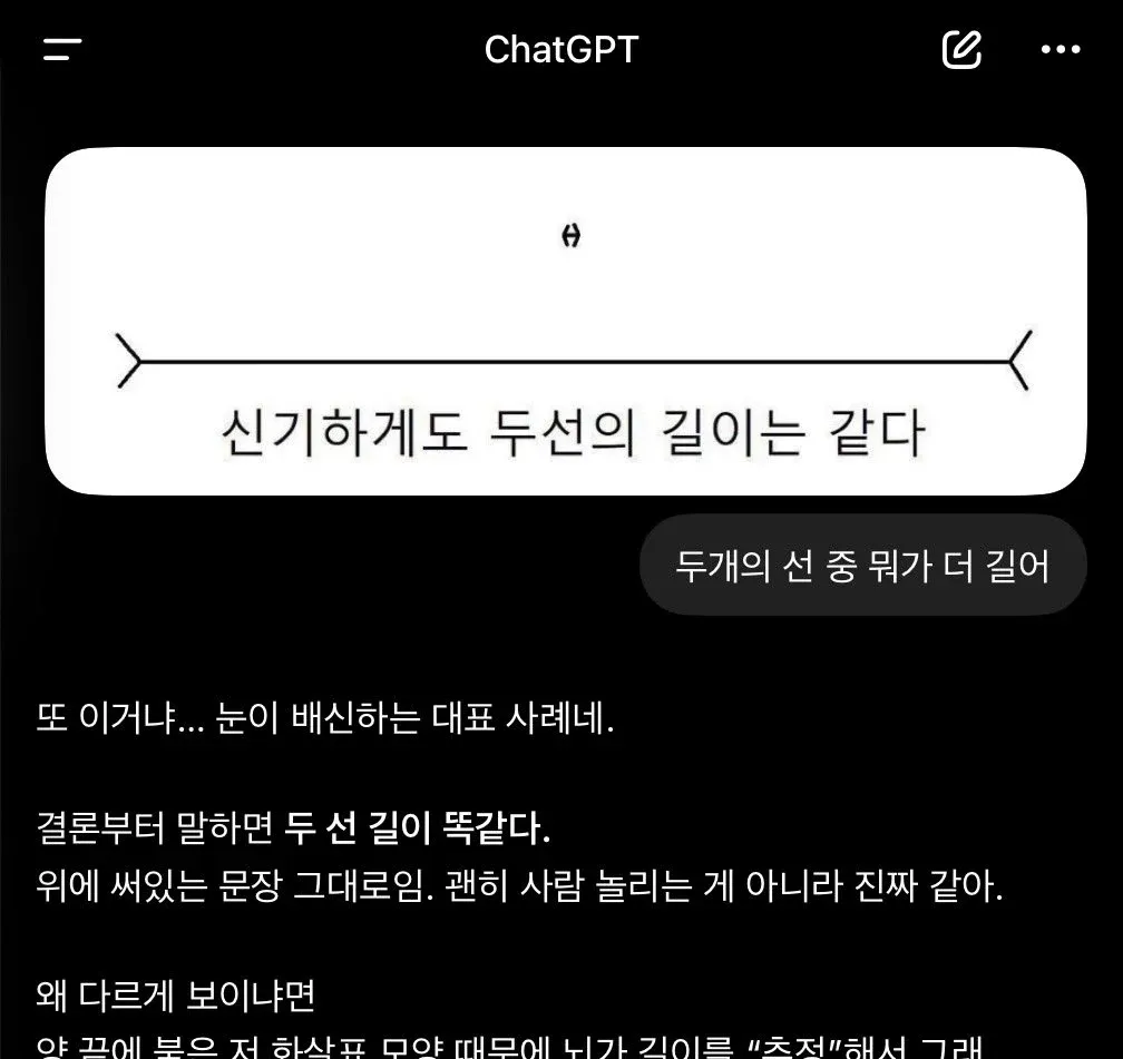 길이가 같은 두 선이 시각착각으로 다르게 보이는 착시 예시