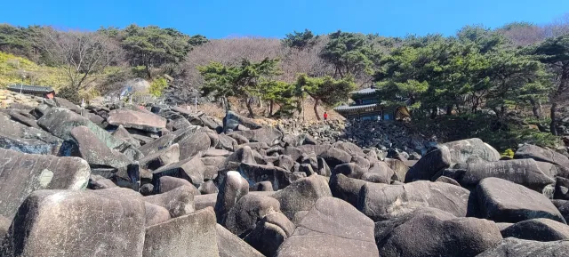 제공된 OCR 텍스트("is 을")가 명확하지 않아 정확한 alt 태그를 생성하기 어렵습니다. 

이미지의 구체적인 정보를 알려주시면 더 정확한 alt 태그를 만들 수 있습니다: