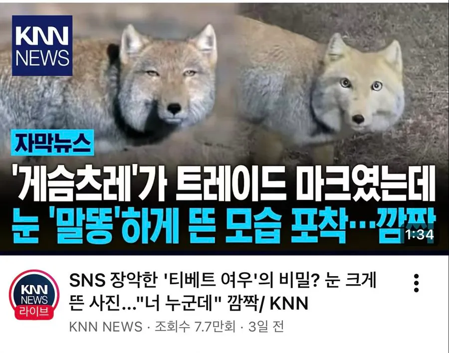 눈을 크게 뜬 사람의 놀라는 표정 사진