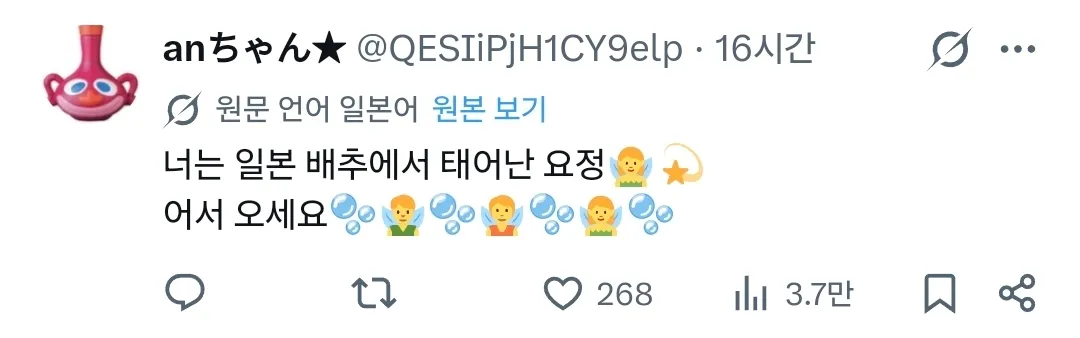 일본 양배추를 칭찬하는 한국인과 일본인의 음식 문화 교류