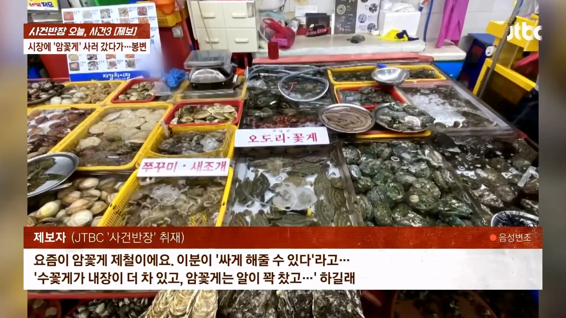 자갈치 시장에서 암꽃게 구매 관련 봉변 제보 인터뷰 화면