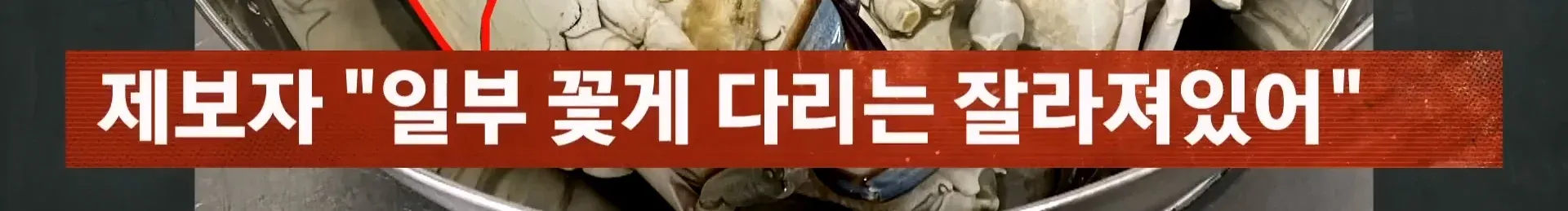 자갈치 시장에서 산 꽃게 다리가 잘려있어 항의하자 상인이 폭언한 사건