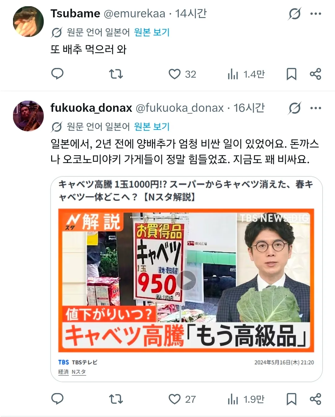 일본 양배추 가격 급등 뉴스. 1개 1000엔, 슈퍼마켓 품절 상황 보도 화면