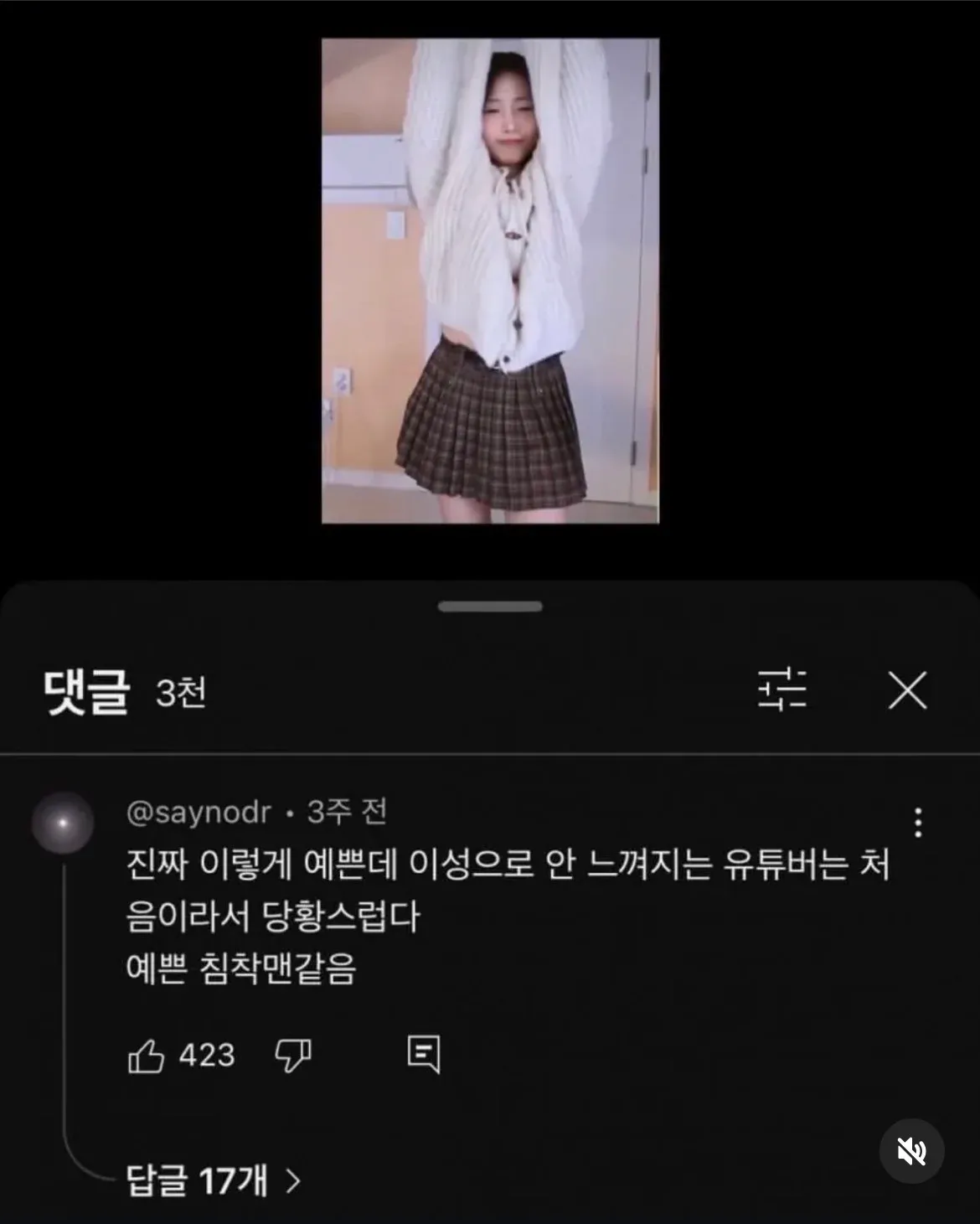 유튜브 댓글: 유튜버 외모에 대한 시청자 반응과 17개의 답글