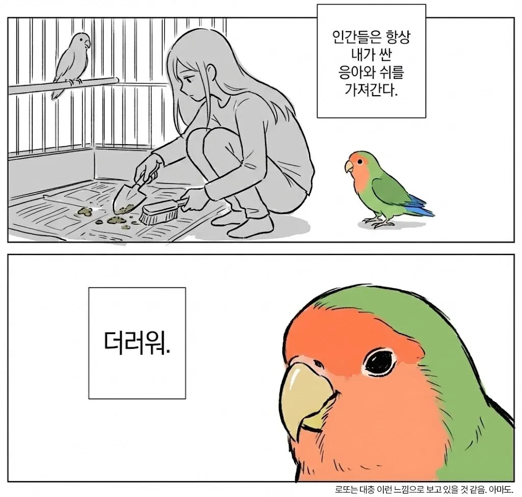 고양이가 더럽다는 듯한 표정으로 쳐다보는 모습