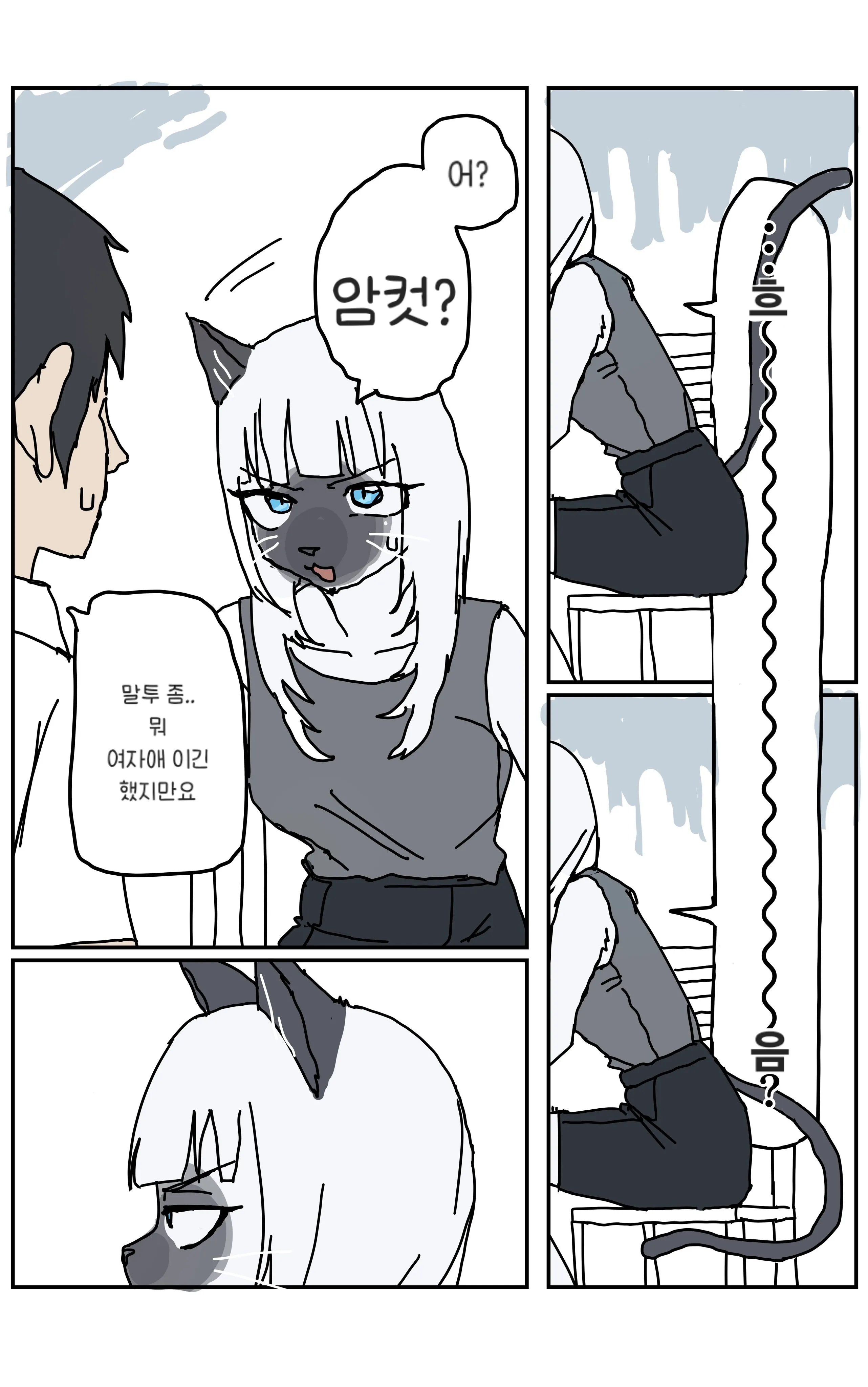 고양이가 앞발로 꾹꾹이하며 먹이를 조르는 장면