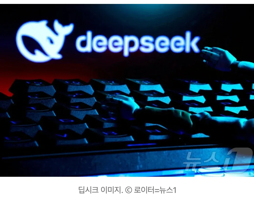 DeepSeek 로고와 AI 가격 정보, 100만 토큰 0.14달러 표시